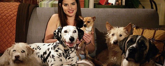 Robins Hunde in HIMYM