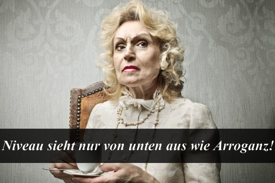 Arrogante Sprüche Humorvoll überlegen sein
