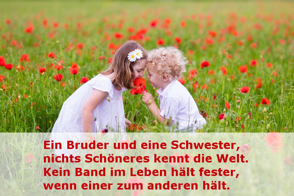 Und zitate schwester bruder Kostenlose SMS