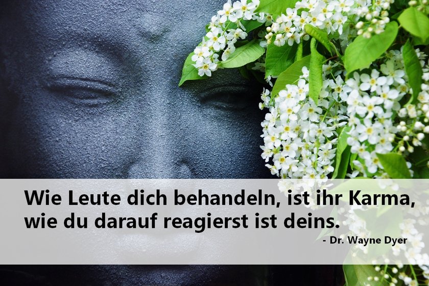 Karma Sprüche Wayne Dyer