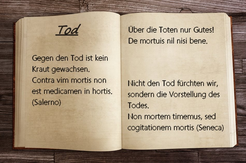 Lateinische Sprichwörter Sprüche und Zitate auf "Schlau"