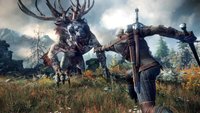 The Witcher 3: 2019 war das erfolgreichste Jahr seit dem Launch