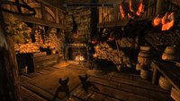 Enderal: Das Crafting- und Housing-System