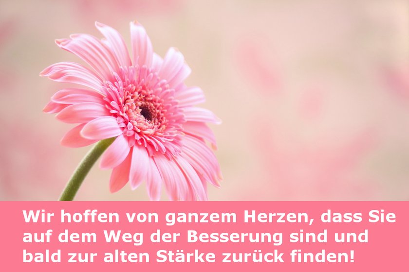 shutterstock_355139237_Gute Besserung Spruch5