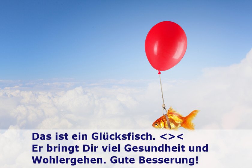 shutterstock_355139237_Gute Besserung Spruch6