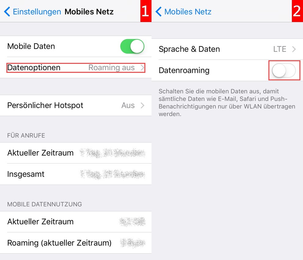 Daten-Roaming ausschalten iPhone iOS