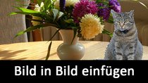 Bild in Bild einfügen (Photoshop / Gimp) – so geht's 