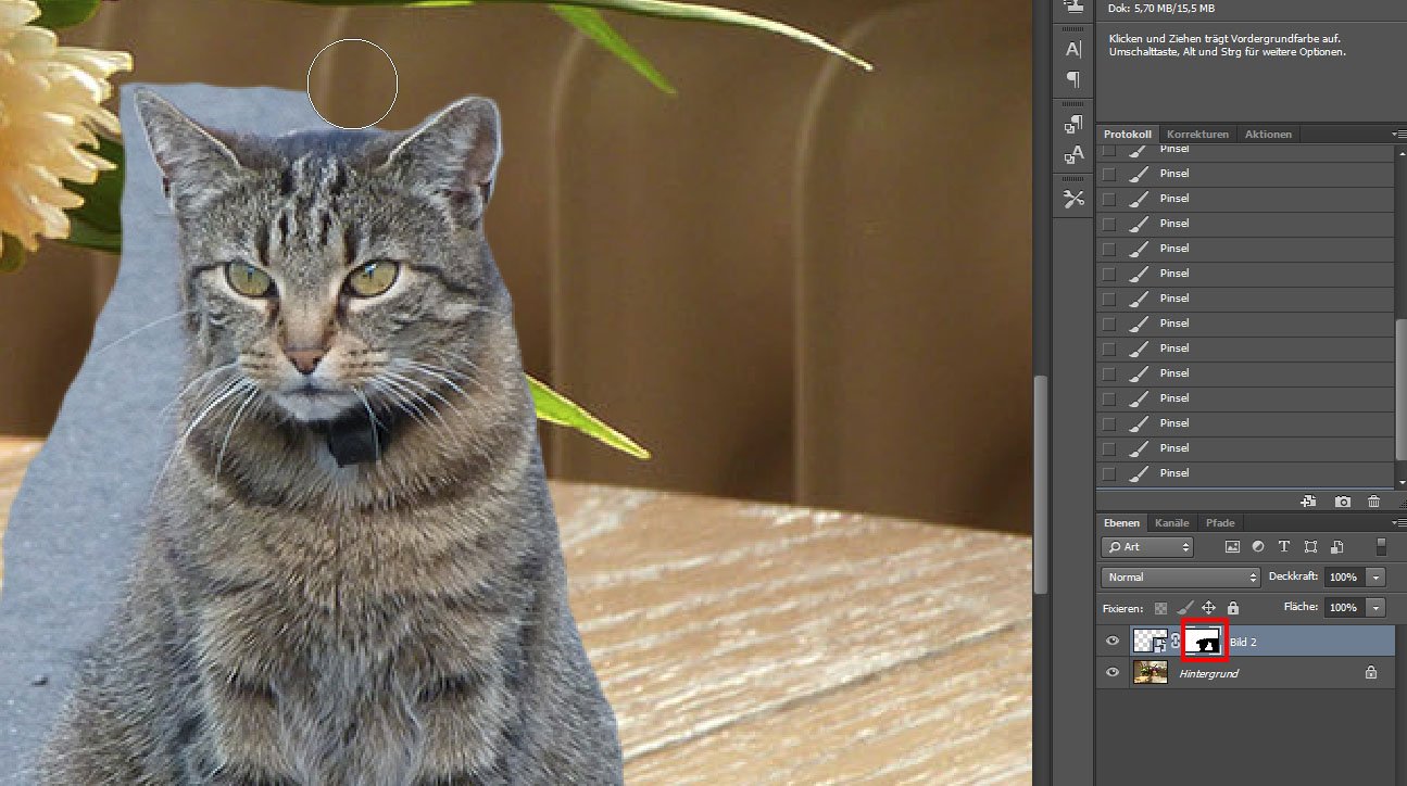 Bild in Bild einfügen / Gimp) so geht