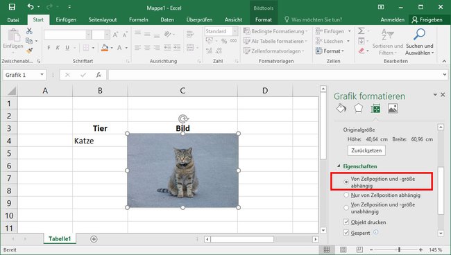 Excel: So bleibt das Bild an der Zellposition und wird automatisch mit der Zelle vergrößert / verkleinert.