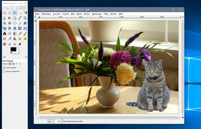 Gimp: Mit dem Lasso-Werkzeug fügt ihr ein Foto in ein Foto ein.