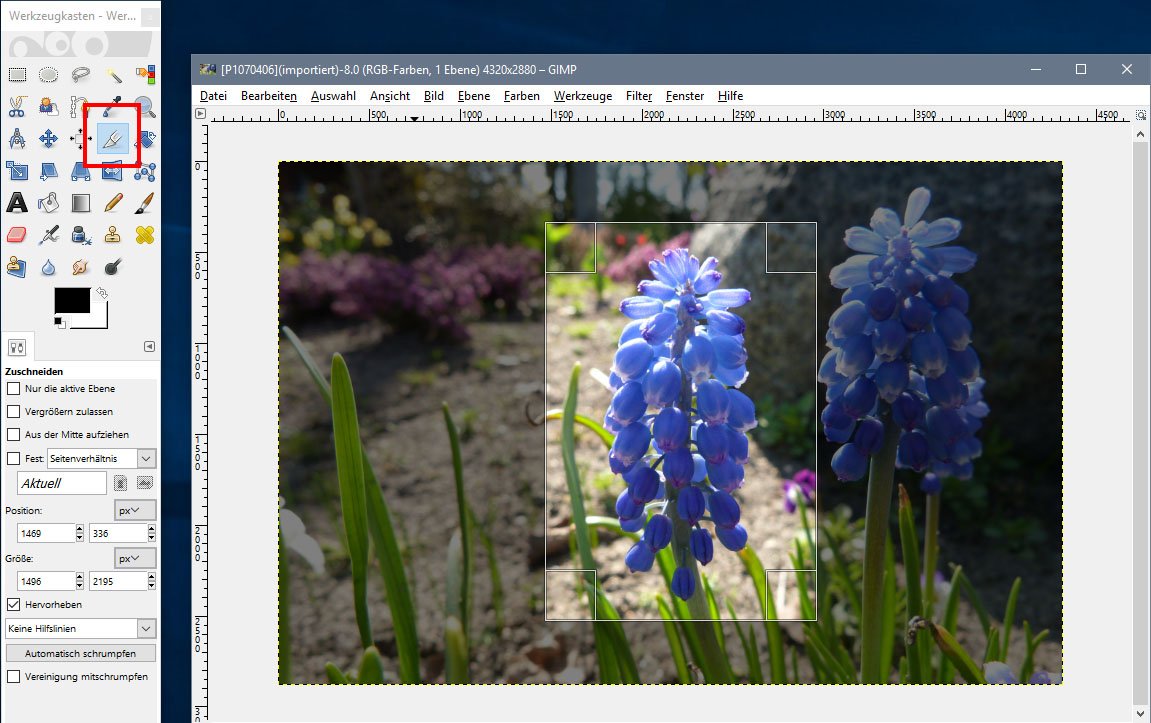 Gimp Bild Zuschneiden So Klappt S
