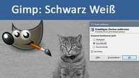 Gimp: Bild Schwarz-Weiß machen – so geht's