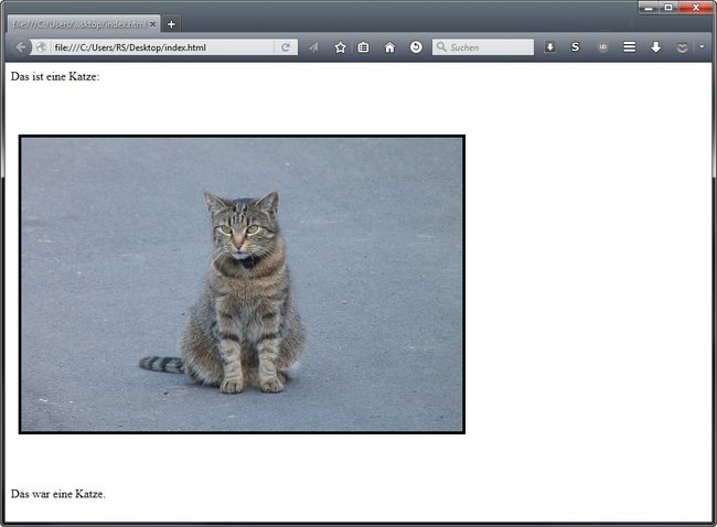 So sieht das eingefügte Bild als HTML-Seite im Browser aus.