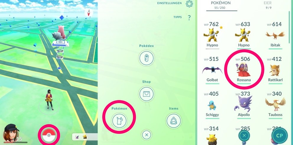 Pokémon GO: Bewertung und Beurteilung durch Teamleiter erklärt