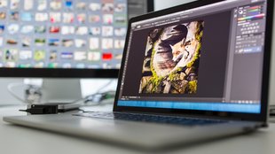 Gibt es iPhoto für Windows? – Fünf gute Alternativen zum Download