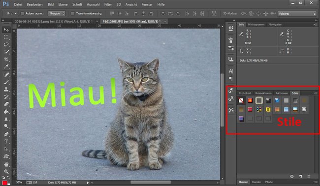 adobe photoshop clipart einfügen - photo #33