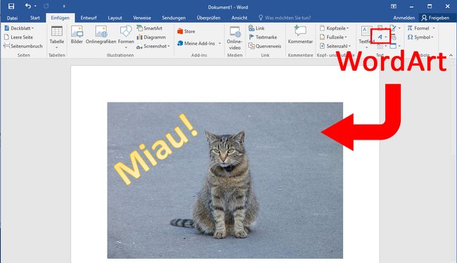 Word: Mit WordArt könnt ihr Text in ein Bild einfügen.