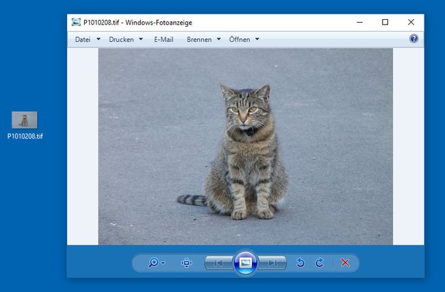 Windows 10 öffnet TIF-Dateien mit der Windows-Fotoanzeige.