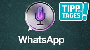 WhatsApp-Nachrichten mit Siri verschicken: So gehts