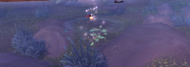 fische in suramar