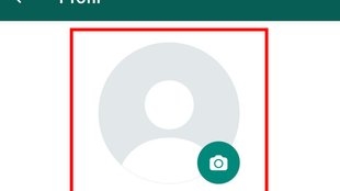 WhatsApp: Profilbild ändern – so geht's
