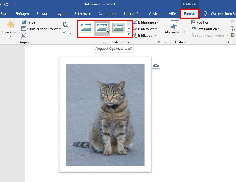 Bild In Bild Einfugen Word