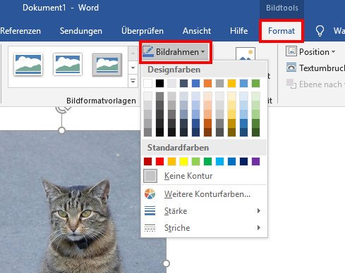 Word: Rahmen um Texte, Seiten & Bilder einfügen – so geht's