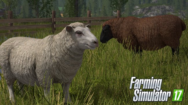 LS 17 Schafe züchten