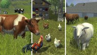 Landwirtschafts-Simulator 17: Tiere züchten - Kühe, Schafe, Schweine und Co.
