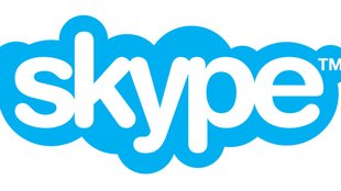 Alte Skype Version