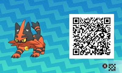 005 - Torracat