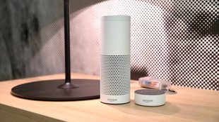 Amazon Echo und Echo Dot im Test: Mit Alexa auf Du und Du