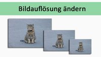 Bildauflösung ändern – so geht's