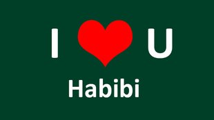 Was heißt Habibi & Habibo? – Beleidigung, Kompliment oder beides?