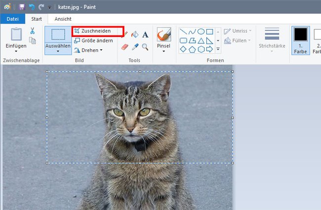 Paint: So schneidet ihr euer Bild auf ein neues Format.