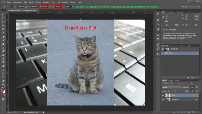 Photoshop skaliert standardmäßig eingefügte Bilder automatisch.