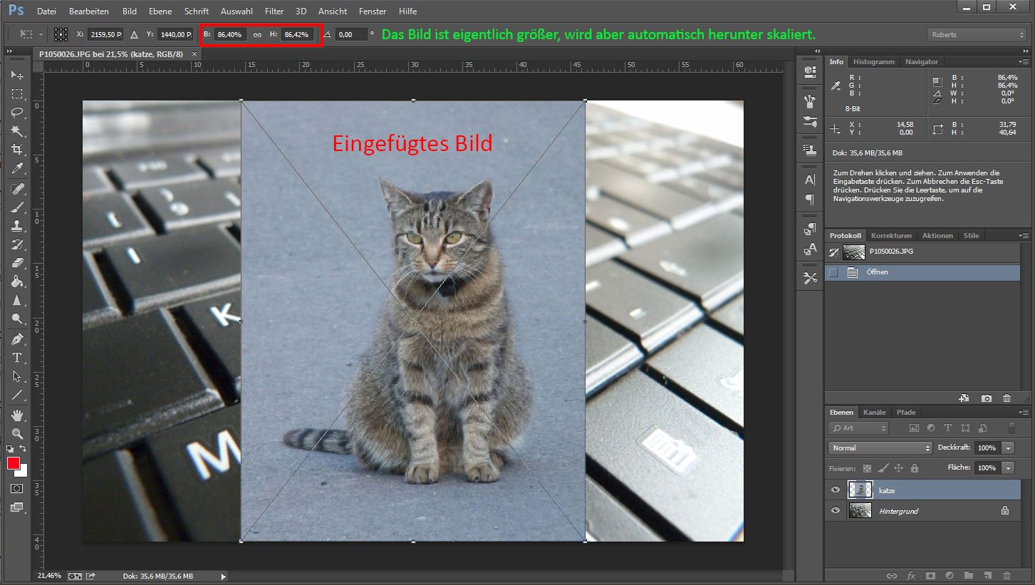 Photoshop Eingefugte Bilder Nicht Automatisch Skalieren Oder In Smartobjekt Konvertieren So Geht S