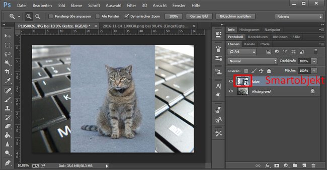 Photoshop hat das Bild automatisch als Smartobjekt eingefügt.