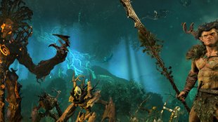 Total War Warhammer: Elfen! Alle Infos zum DLC - Das Reich der Waldelfen