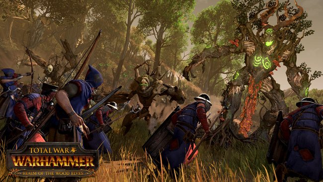 Total War warhammer Waldelfen