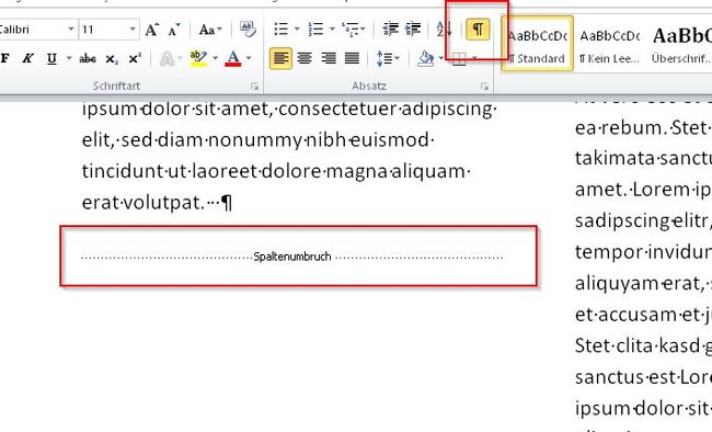 word-spaltenumbruch-sehen