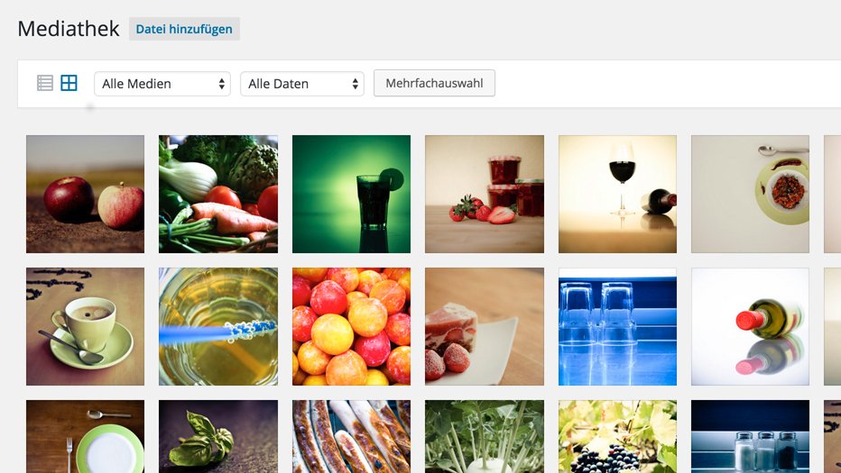 WordPress Download