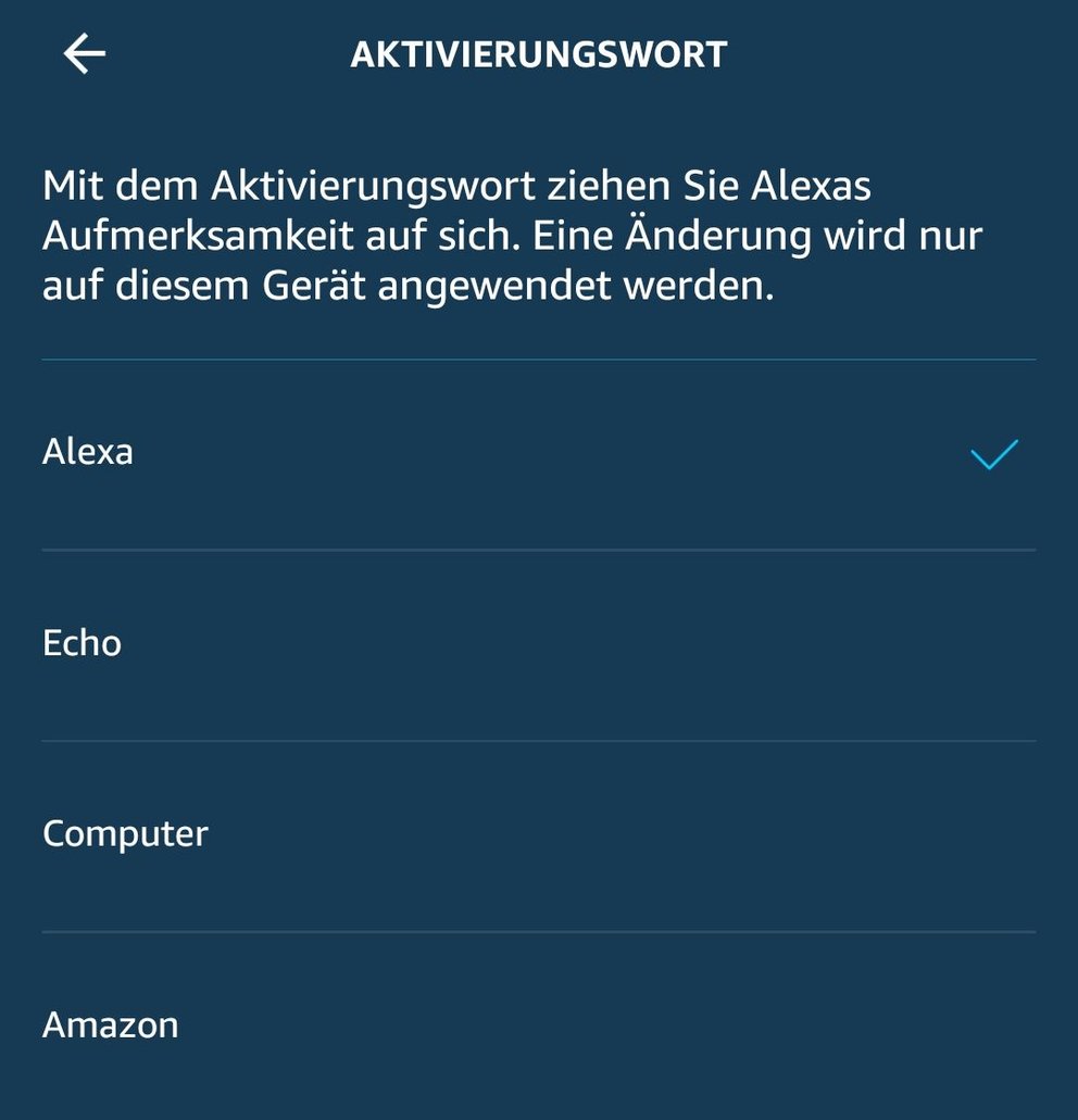 amazon-alexa-namen_giga