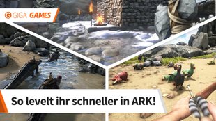 ARK - Survival Evolved: schnell leveln im Level-Guide (mit Cheat)