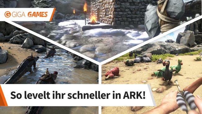 ark-survival-evolved-teaser-schnell-leveln