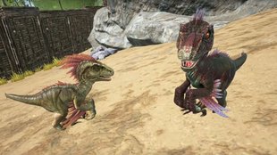 ARK - Survival Evolved: Dinos züchten & Eier ausbrüten