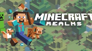 Minecraft Realms: Kosten, Mods und Infos zum Server