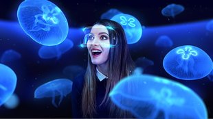 PS4: YouTube-Videos in VR schauen und die besten VR-Kanäle im Überblick