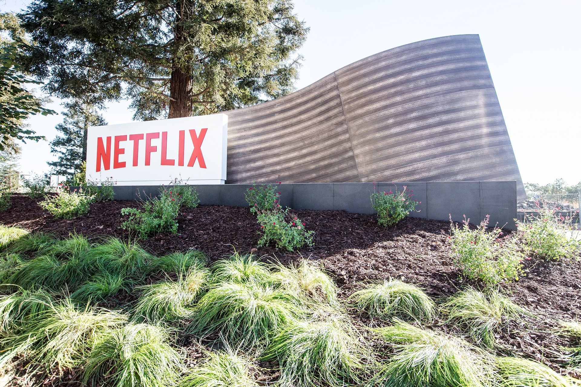 Netflix App Für Windows 10 Netflix App Für Windows 10