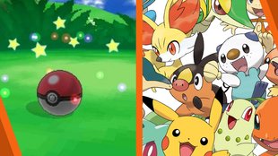 Pokémon: So gemütlich sehen die Pokébälle von innen aus